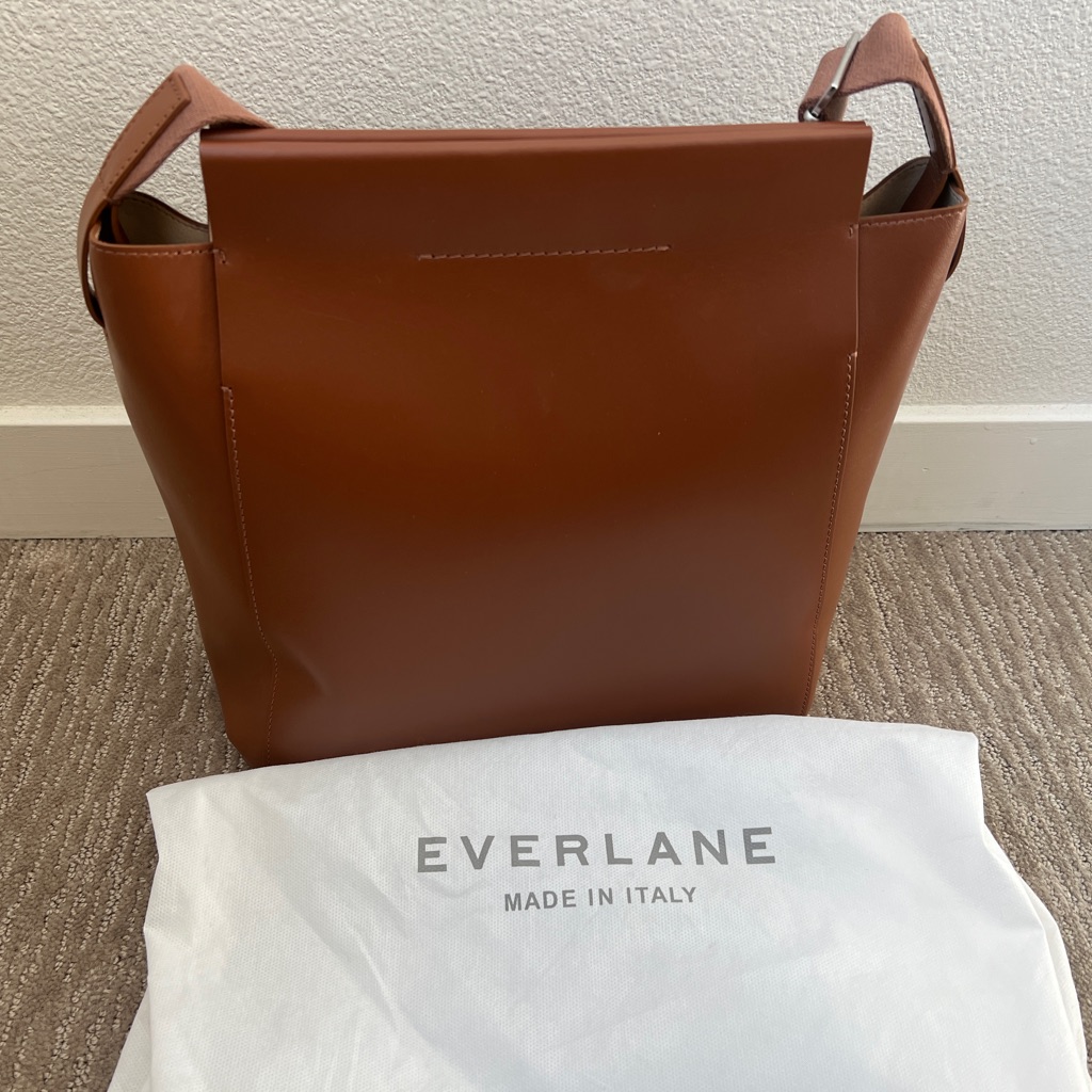 Everlane Form Bag In Cognac